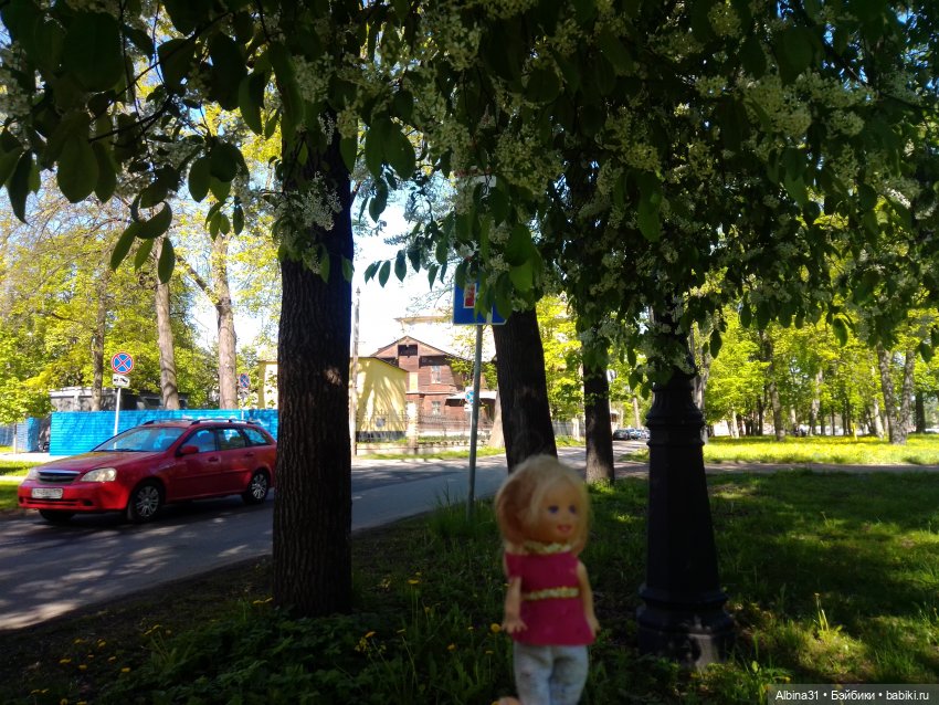 Май 2022 год. Поход на каменный остров