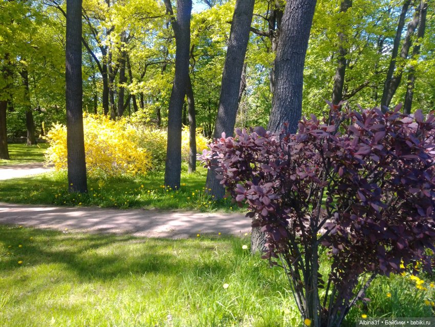 Май 2022 год. Поход на каменный остров