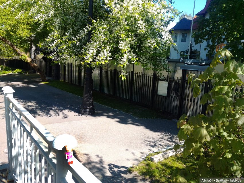 Май 2022 год. Поход на каменный остров