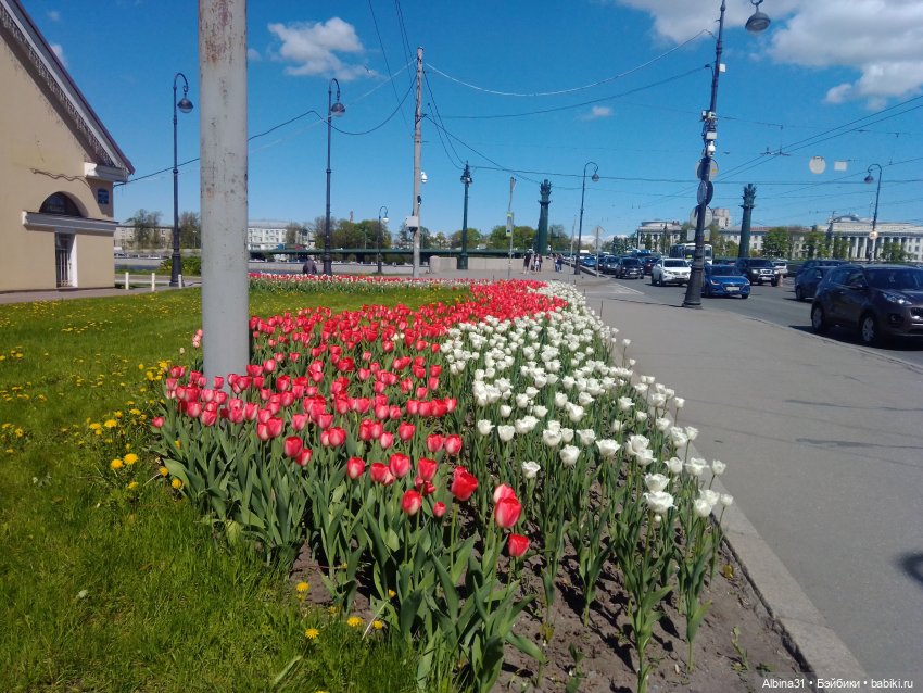 Май 2022 год. Поход на каменный остров