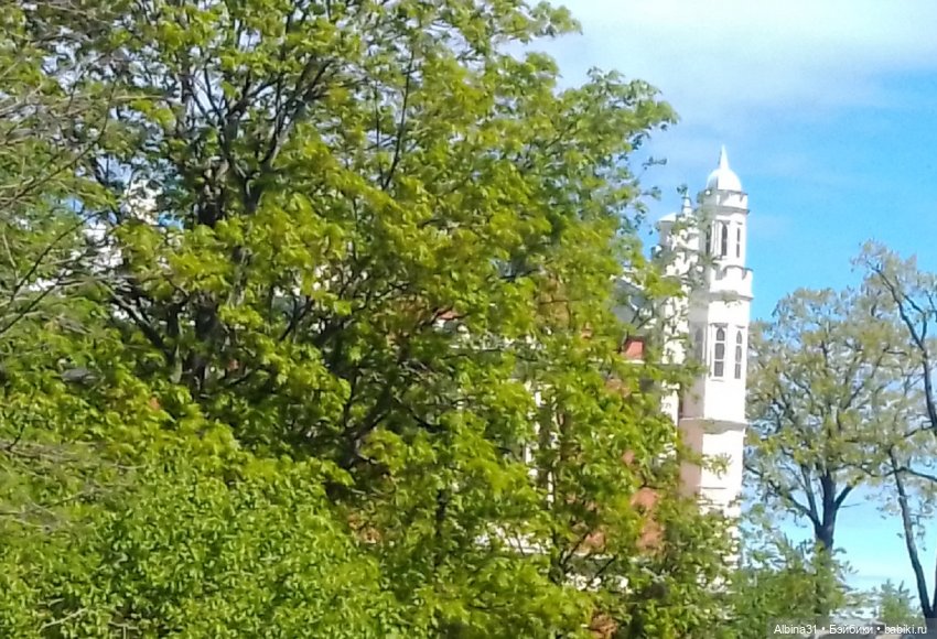 Май 2022 год. Поход на каменный остров (фото 2)