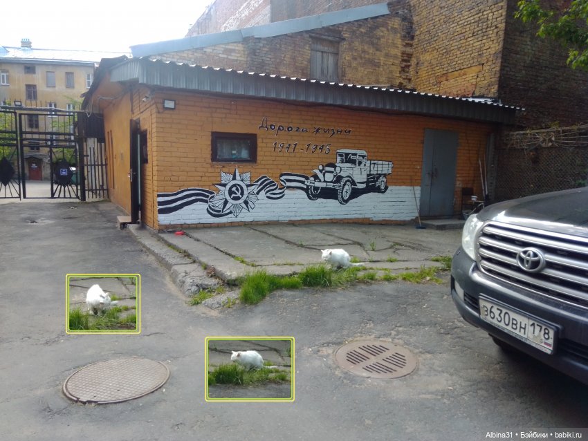 Питер май 2022 год, продолжение (4)