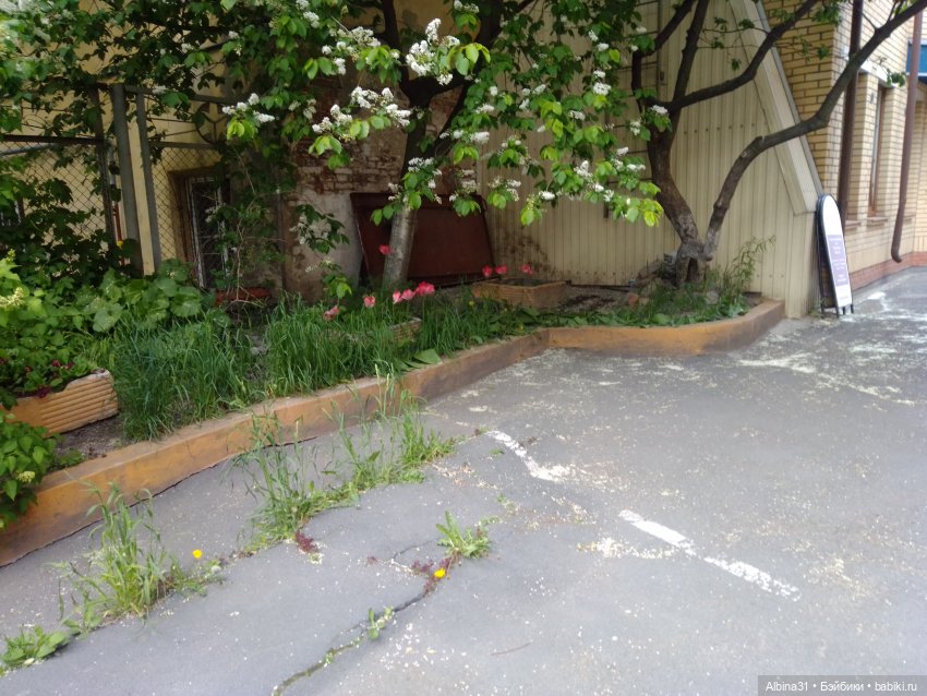 Питер май 2022 год, продолжение (4)