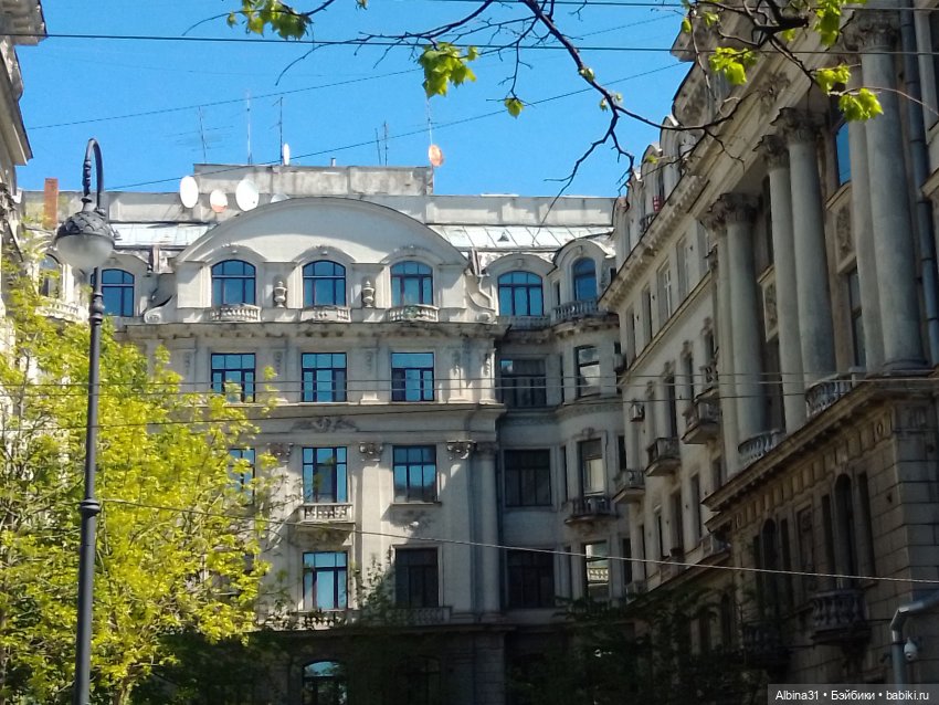 Питер май 2022 год, продолжение (3) (фото 8)