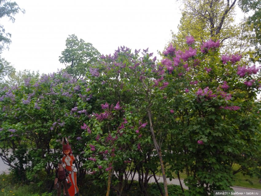 Санкт-Петербург 31 мая 2022 года