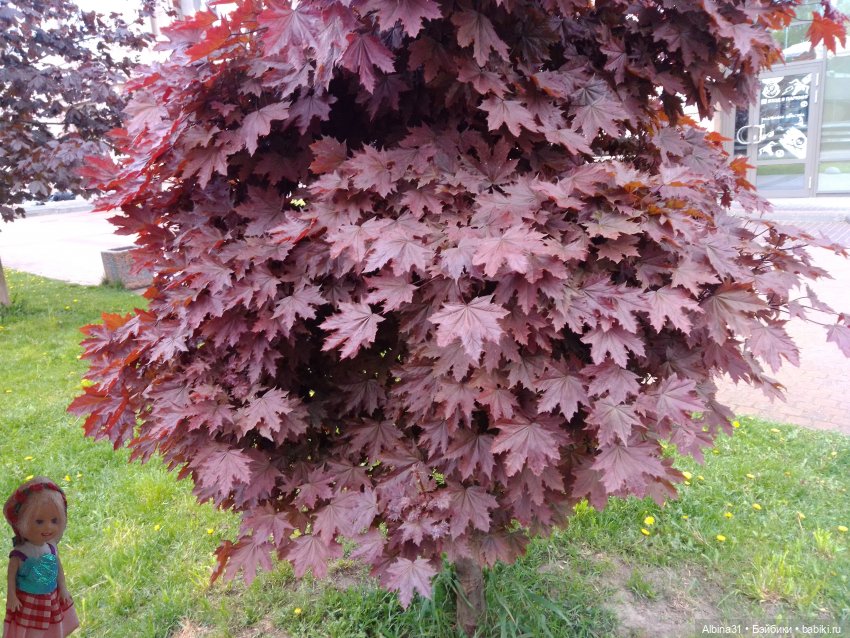 Санкт-Петербург 31 мая 2022 года