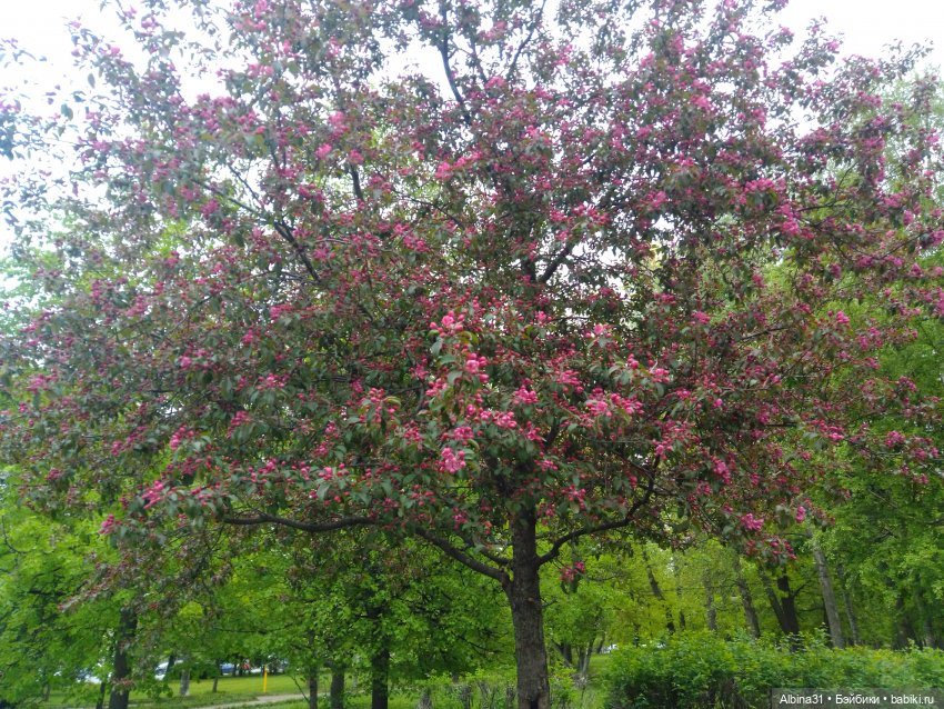 Санкт-Петербург 31 мая 2022 года