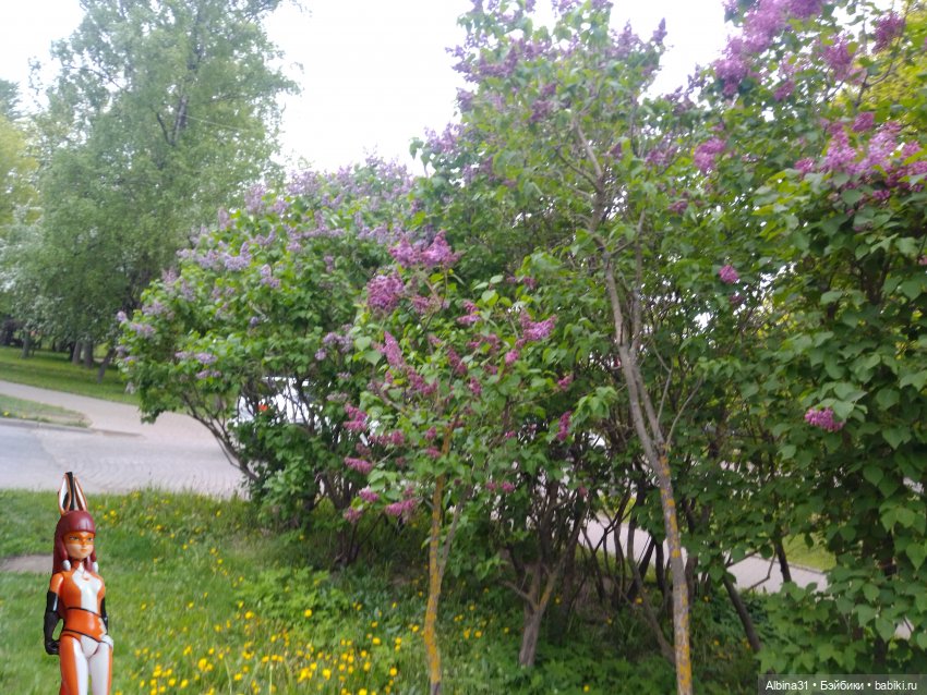 Санкт-Петербург 31 мая 2022 года