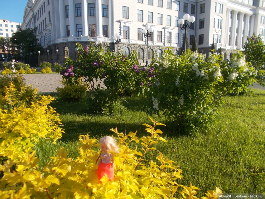 Прогулка по Екатеринбургу. июнь 2022 год