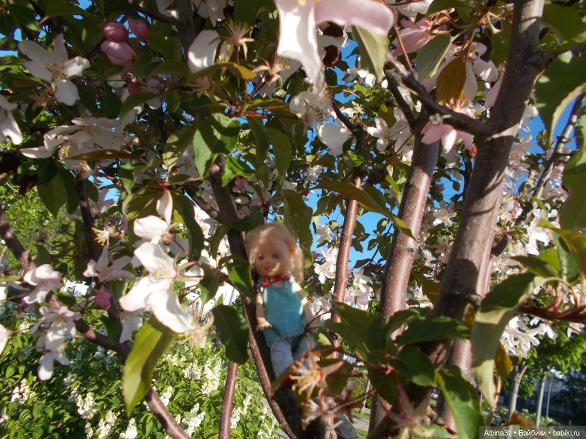 Прогулка по Екатеринбургу. июнь 2022 год