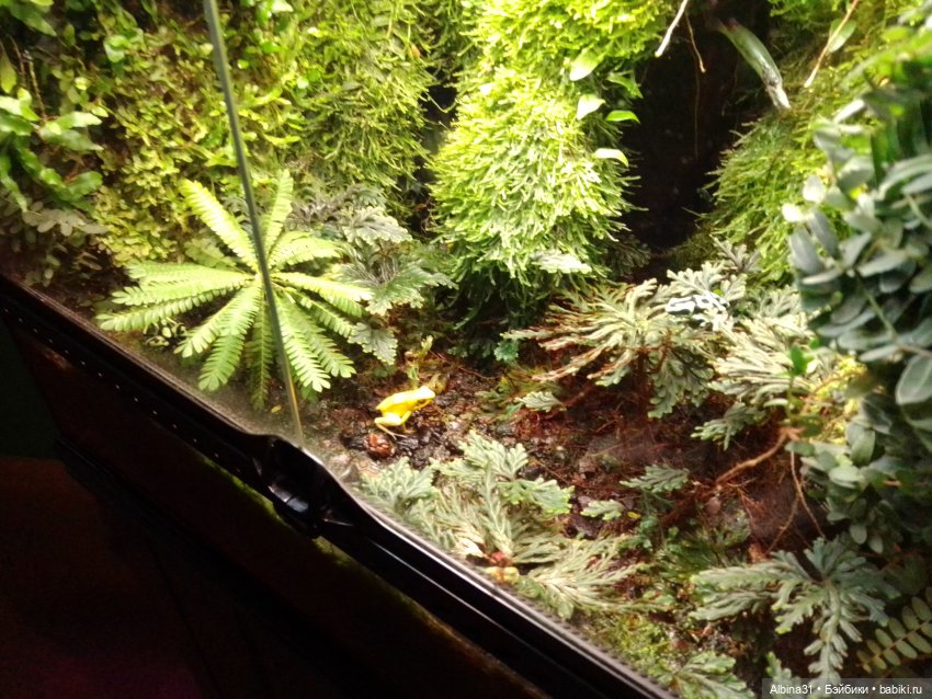 Питер, май 2022 год, окончание