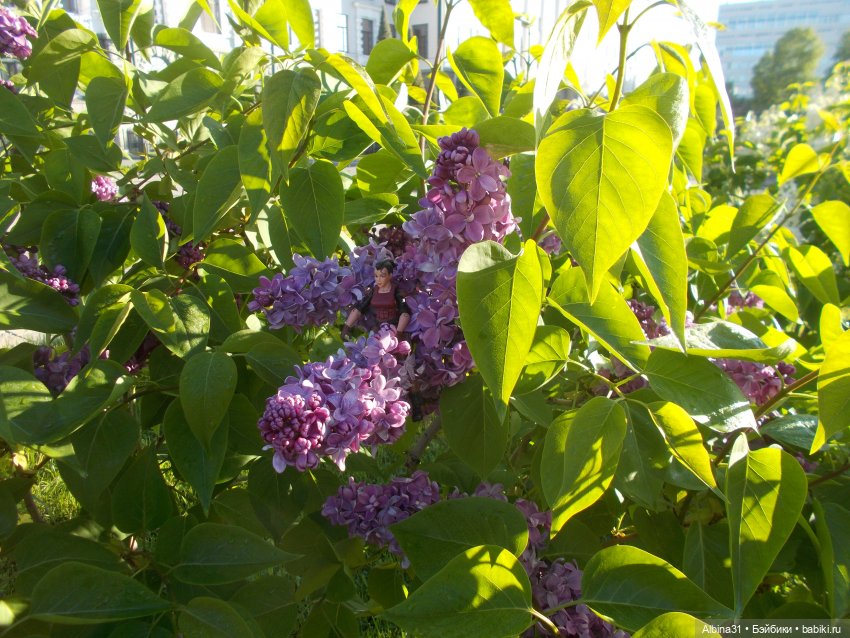 Прогулка по Екатеринбургу. июнь 2022 год