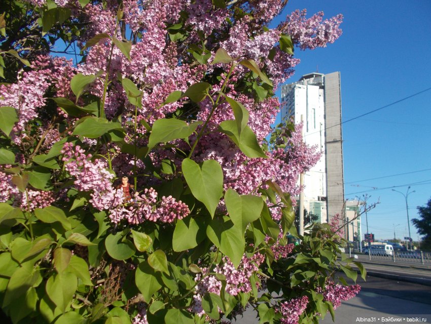 Прогулка по Екатеринбургу. июнь 2022 год