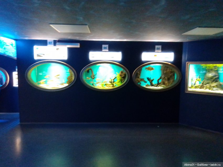 Питер, май 2022 год, окончание