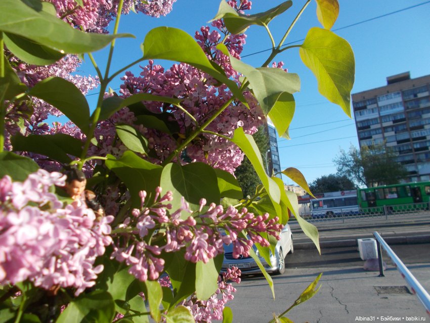 Прогулка по Екатеринбургу. июнь 2022 год (фото 2)