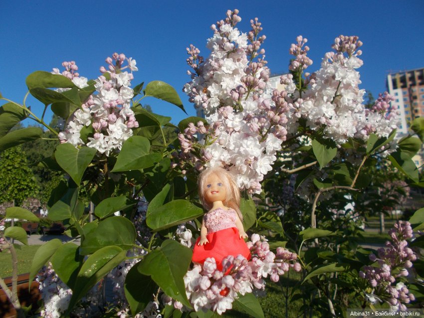 Прогулка по Екатеринбургу. июнь 2022 год