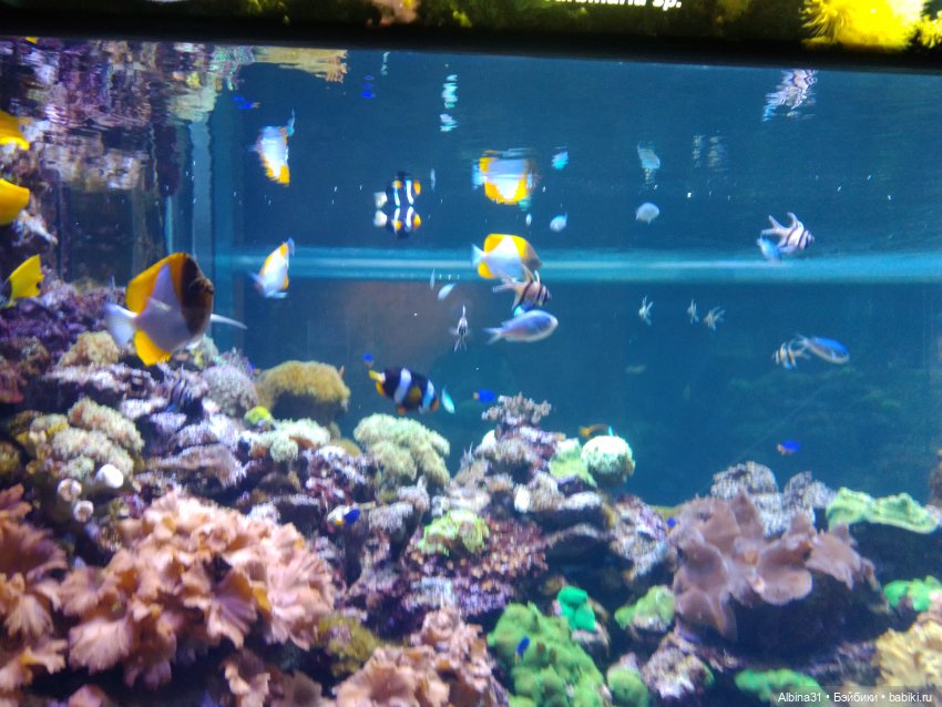 Питер, май 2022 год, окончание