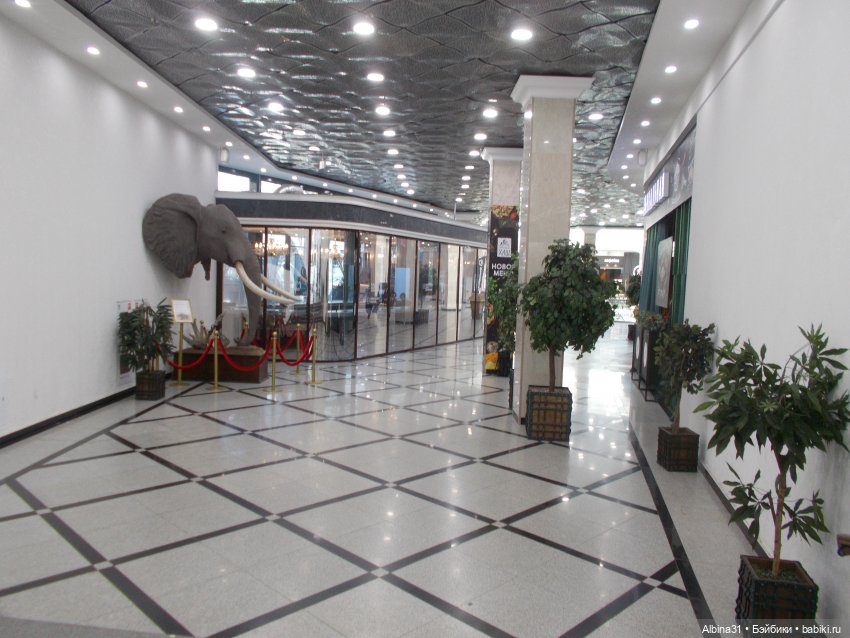 Гринвич июнь 2022 — Игровые куклы разных производителей (Разное): редкие бренды