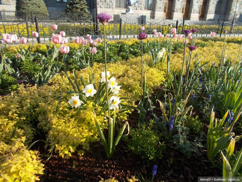 Прогулка по Екатеринбургу. июнь 2022 год (фото 7)