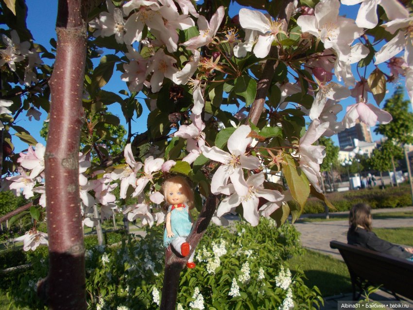 Прогулка по Екатеринбургу. июнь 2022 год