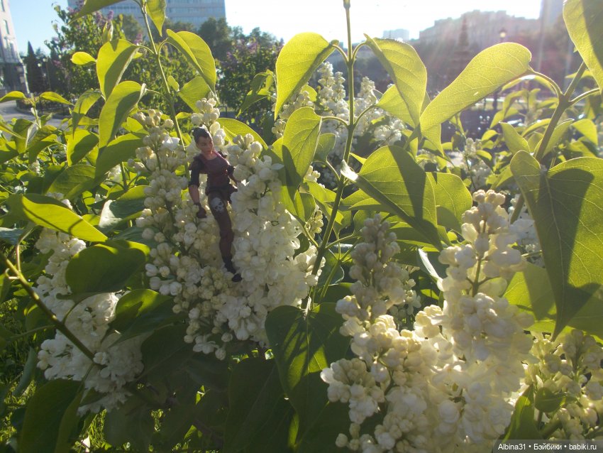 Прогулка по Екатеринбургу. июнь 2022 год