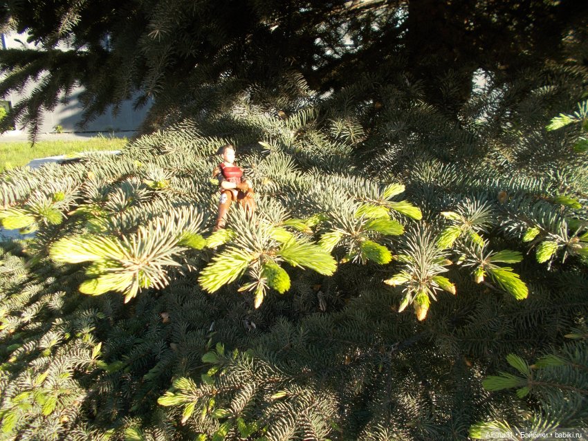 Прогулка по Екатеринбургу. июнь 2022 год (фото 3)