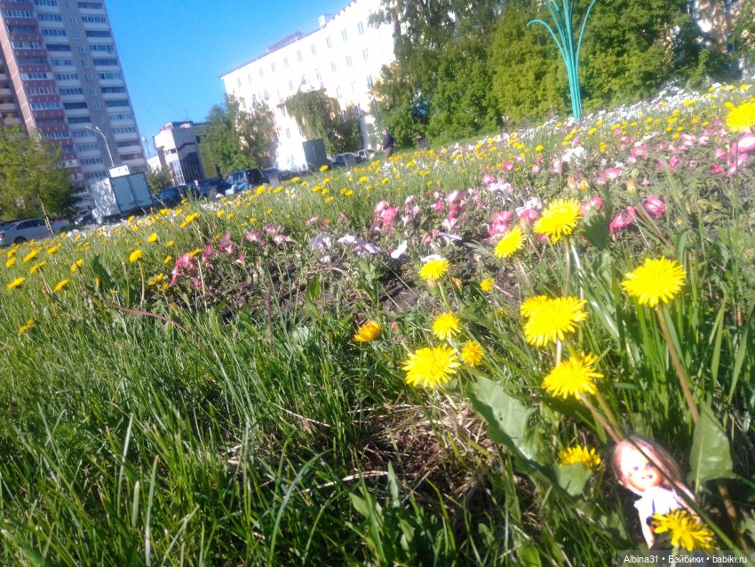 Прогулка по Екатеринбургу. июнь 2022 (3)