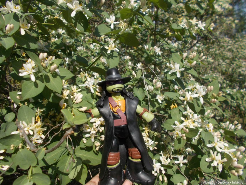 А кто такой у нас крутой — Коллекционные игрушки и фигурки: Lego