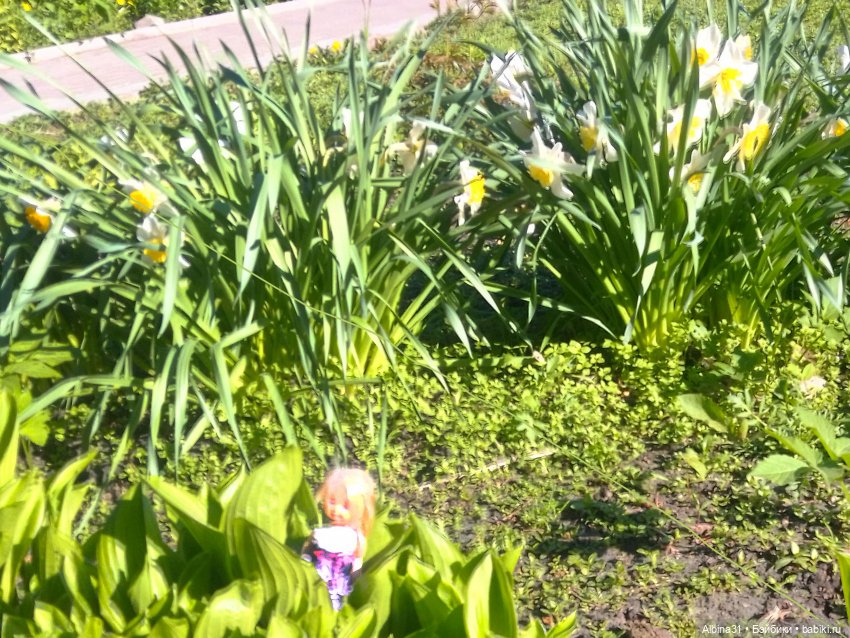 Дендрологический парк в Екатеринбурге 2022 год