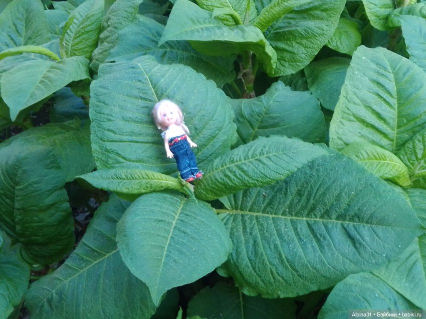 Дендрологический парк в Екатеринбурге 2022 год