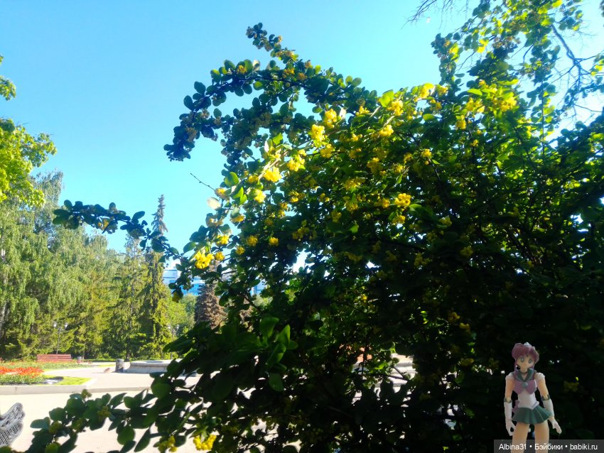 Дендрологический парк в Екатеринбурге 2022 год