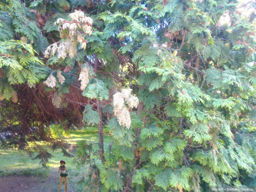 Дендрологический парк в Екатеринбурге 2022 год