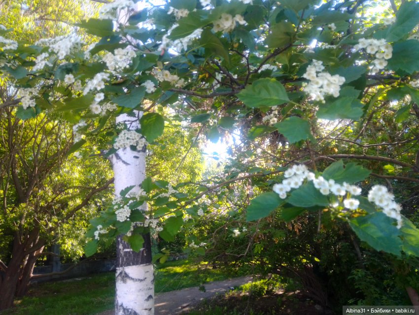 Дендрологический парк в Екатеринбурге 2022 год