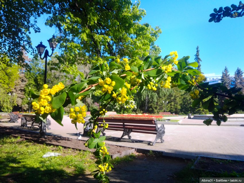 Дендрологический парк в Екатеринбурге 2022 год