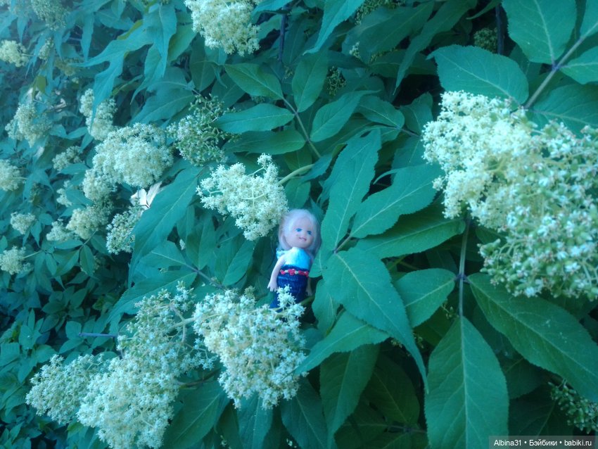 Дендрологический парк в Екатеринбурге 2022 год