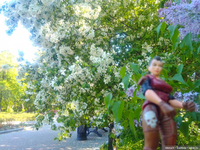 Дендрологический парк в Екатеринбурге 2022 год (фото 10)