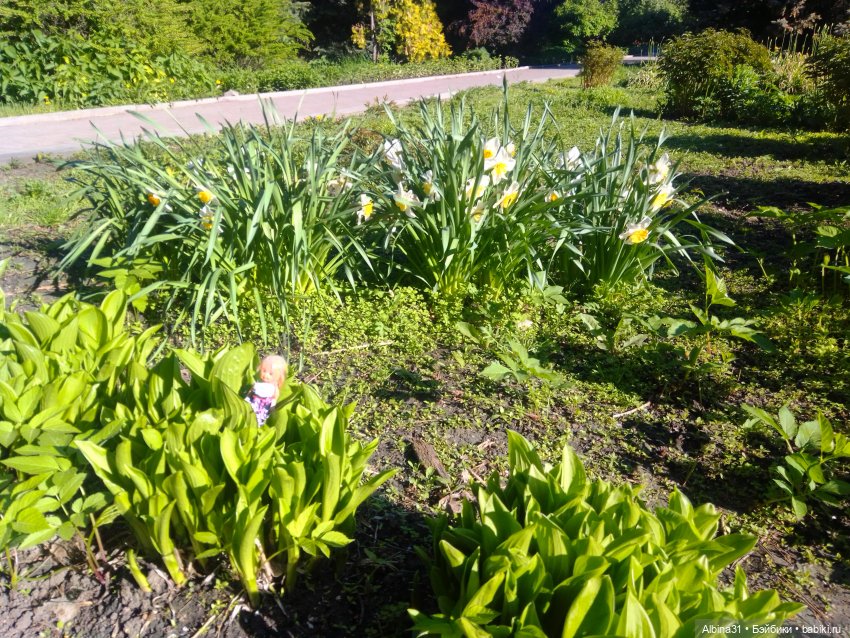 Дендрологический парк в Екатеринбурге 2022 год