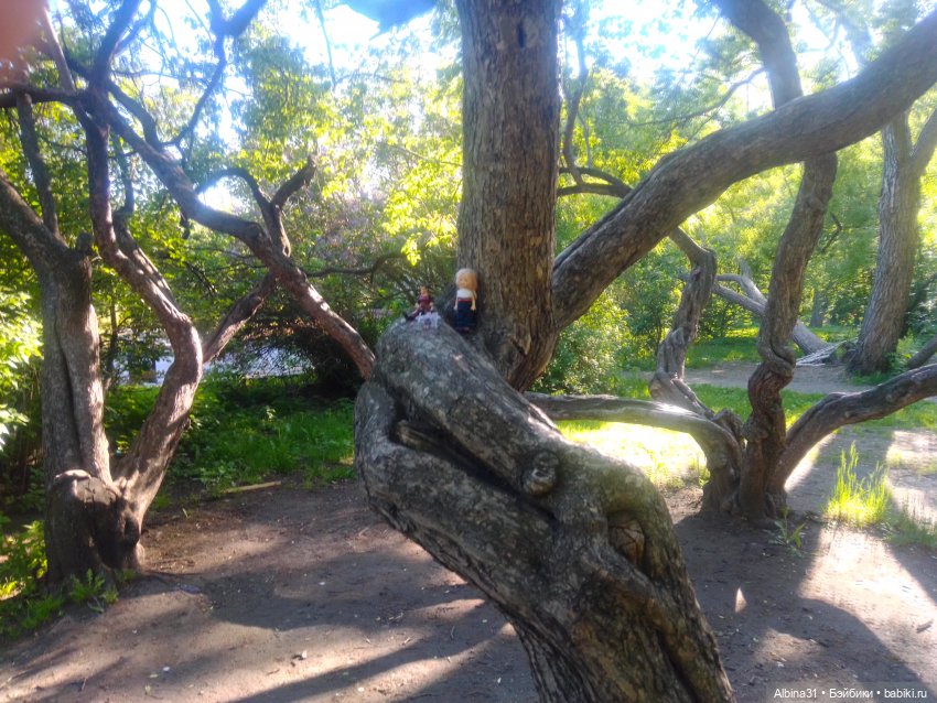 Дендрологический парк в Екатеринбурге 2022 год (фото 3)