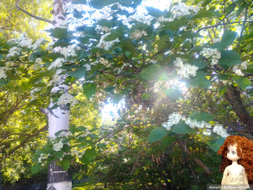 Дендрологический парк в Екатеринбурге 2022 год