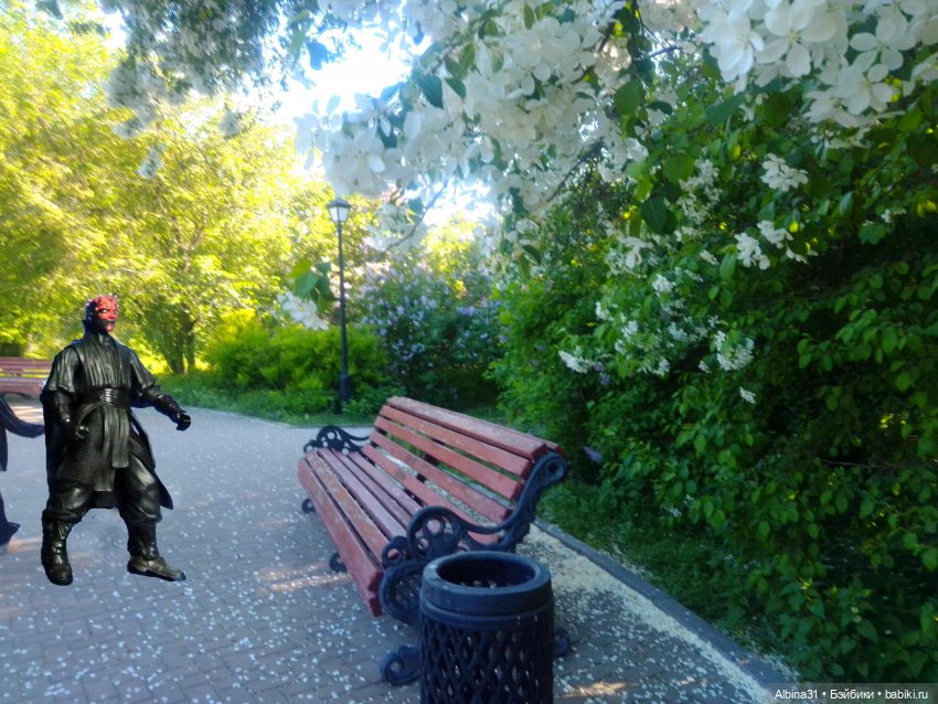 Дендрологический парк в Екатеринбурге 2022 год