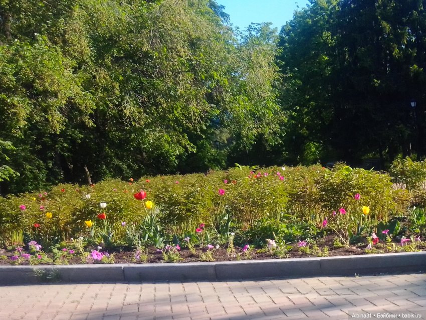 Дендрологический парк в Екатеринбурге 2022 год (фото 5)