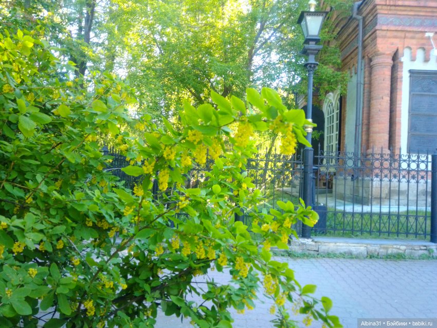 Дендрологический парк в Екатеринбурге 2022 год