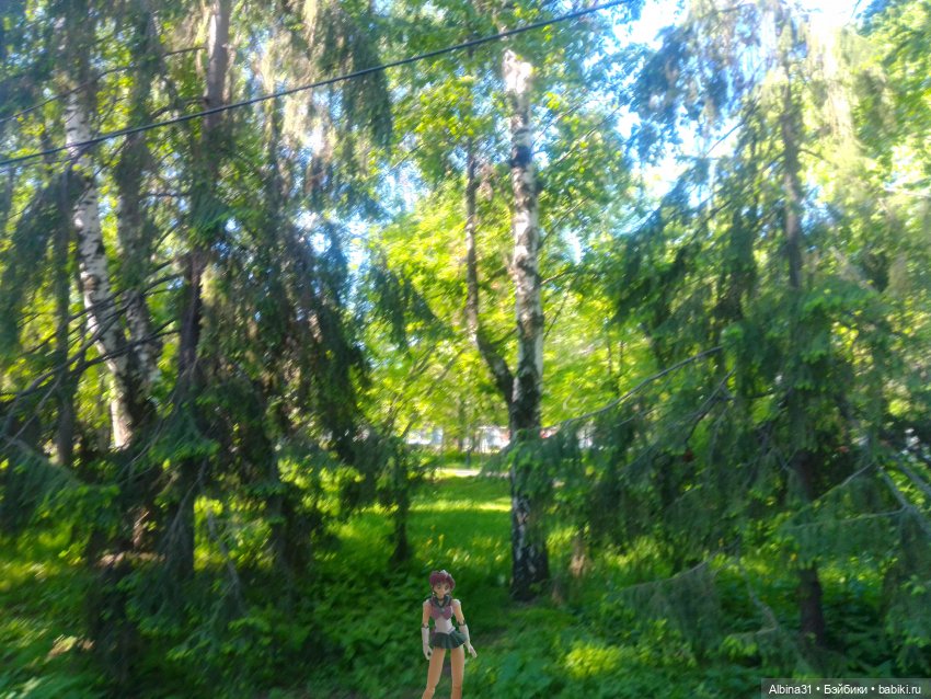 Дендрологический парк в Екатеринбурге 2022 год