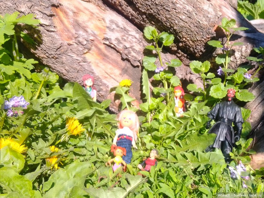 Дендрологический парк в Екатеринбурге 2022 год