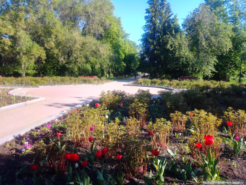 Дендрологический парк в Екатеринбурге 2022 год (фото 7)