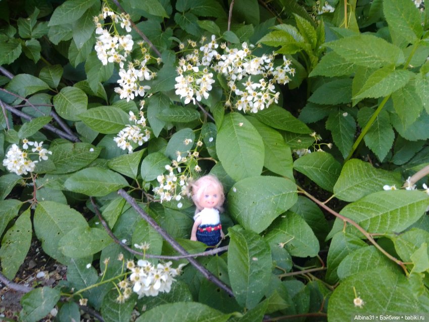 Дендрологический парк в Екатеринбурге 2022 год