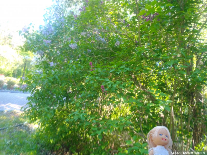 Дендрологический парк в Екатеринбурге 2022 год (фото 9)