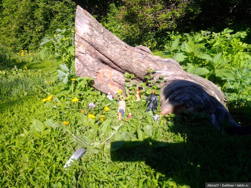 Дендрологический парк в Екатеринбурге 2022 год