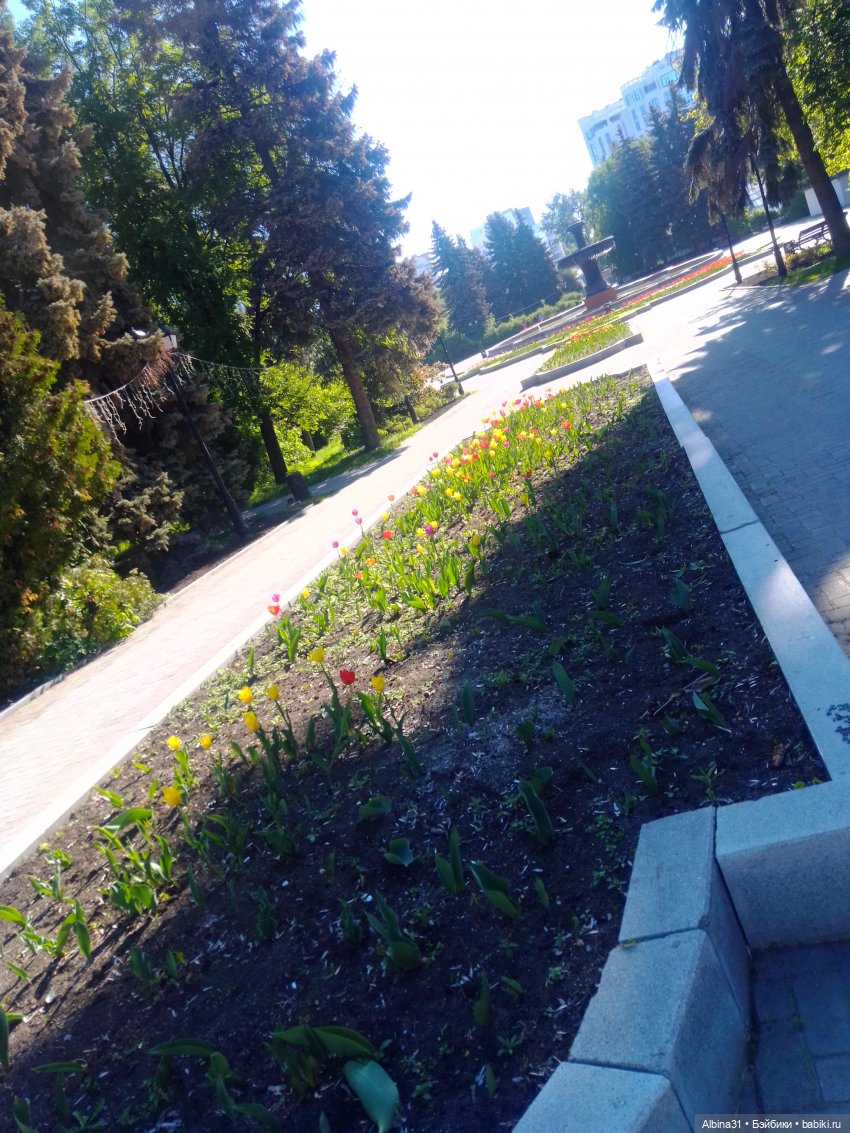 Дендрологический парк в Екатеринбурге 2022 год