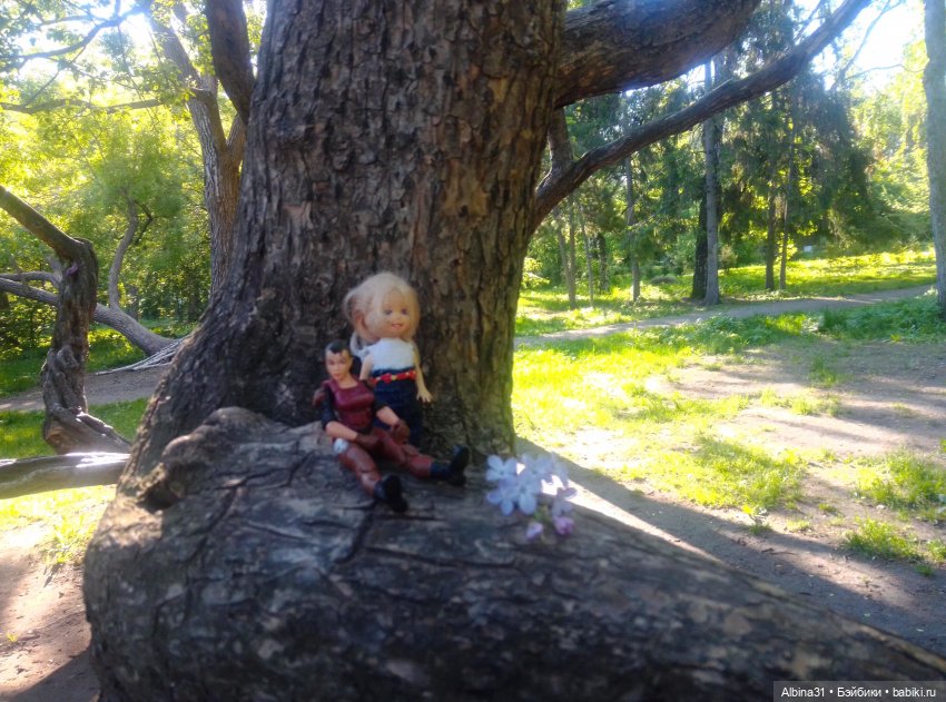 Дендрологический парк в Екатеринбурге 2022 год (фото 2)